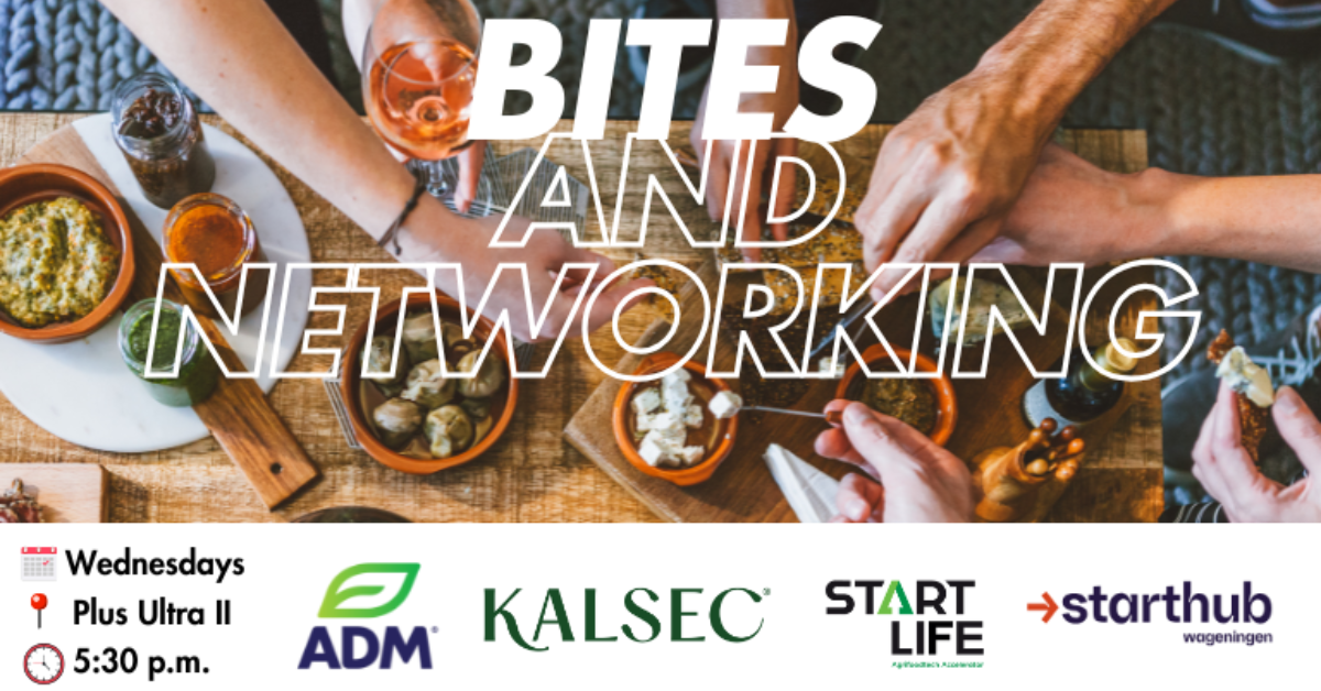 Bites and Networking Session