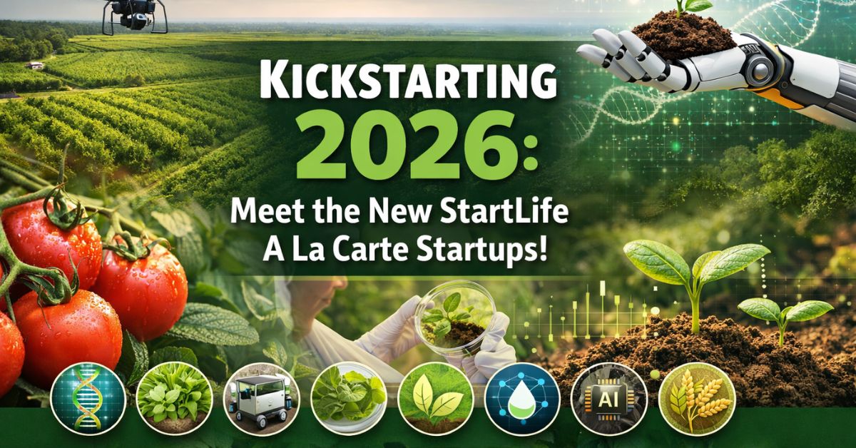 2026 A La Carte Startups