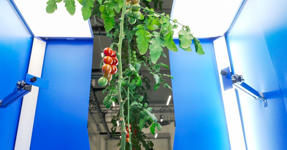 SAIA Agrobotics scanner