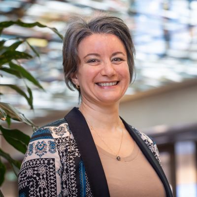 Minerve Vicente 2026 Mentor