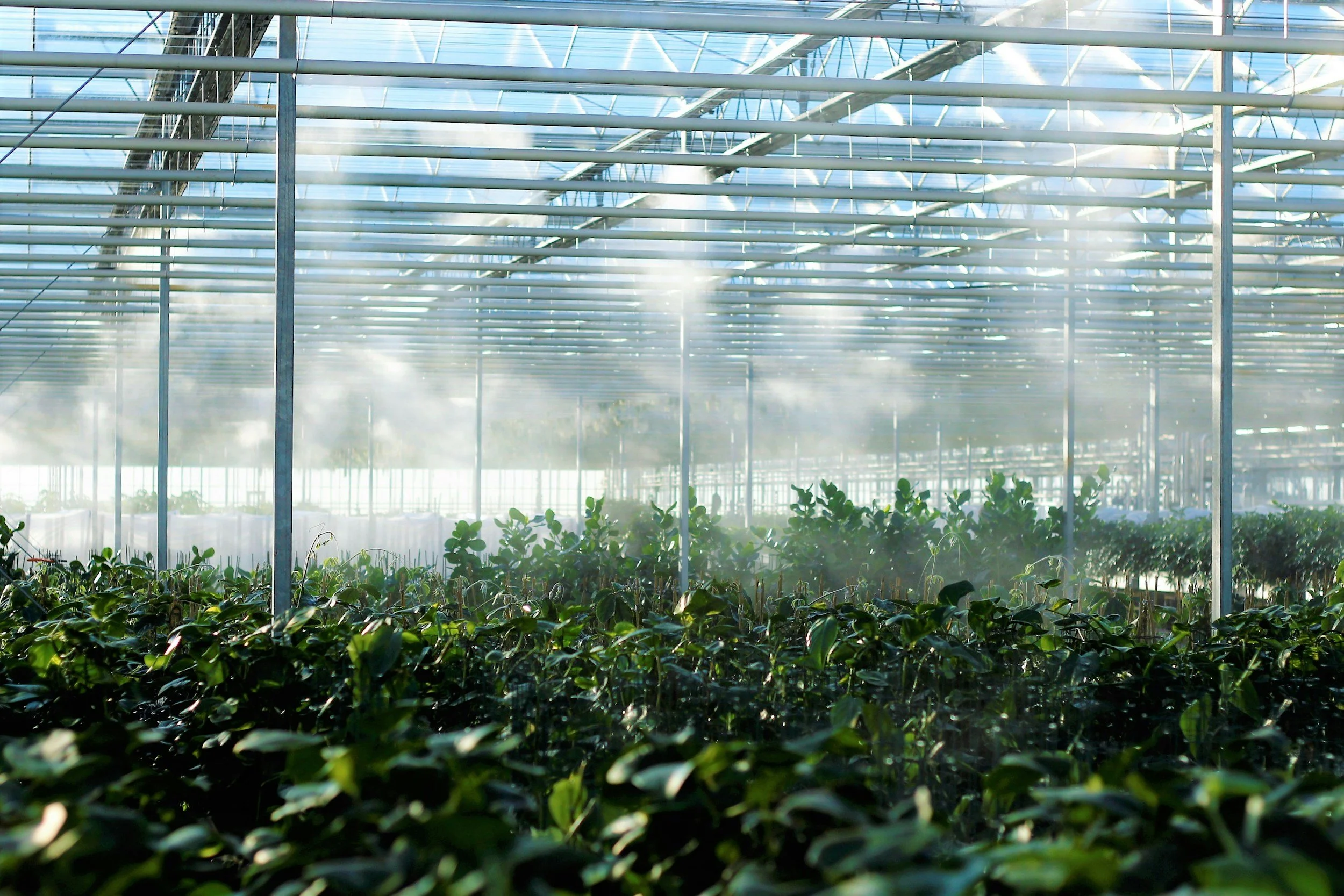HortiScience Innovation Center